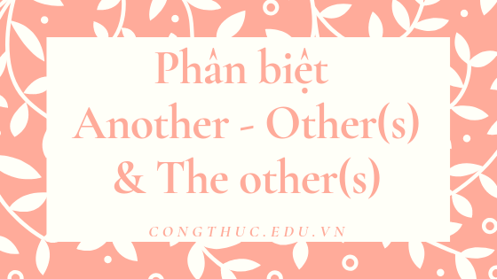 Phân biệt Another – Other(s) – The other(s)